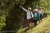 /album/fotogaleria/foto-45-jpg/